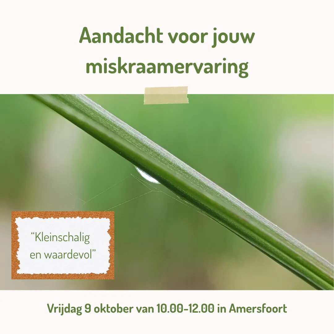 Aandacht voor jouw miskraamervaring — bijeenkomst 9 oktober, Amersfoort